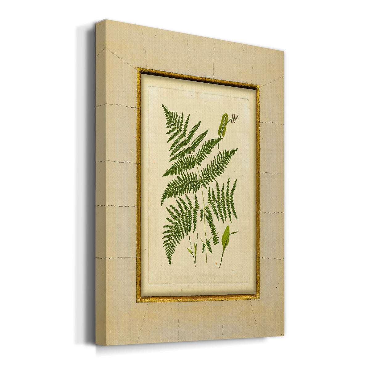 Fern with Crackle Mat (H) IV Premium Gallery Wrapped Canvas - Ready to Hang