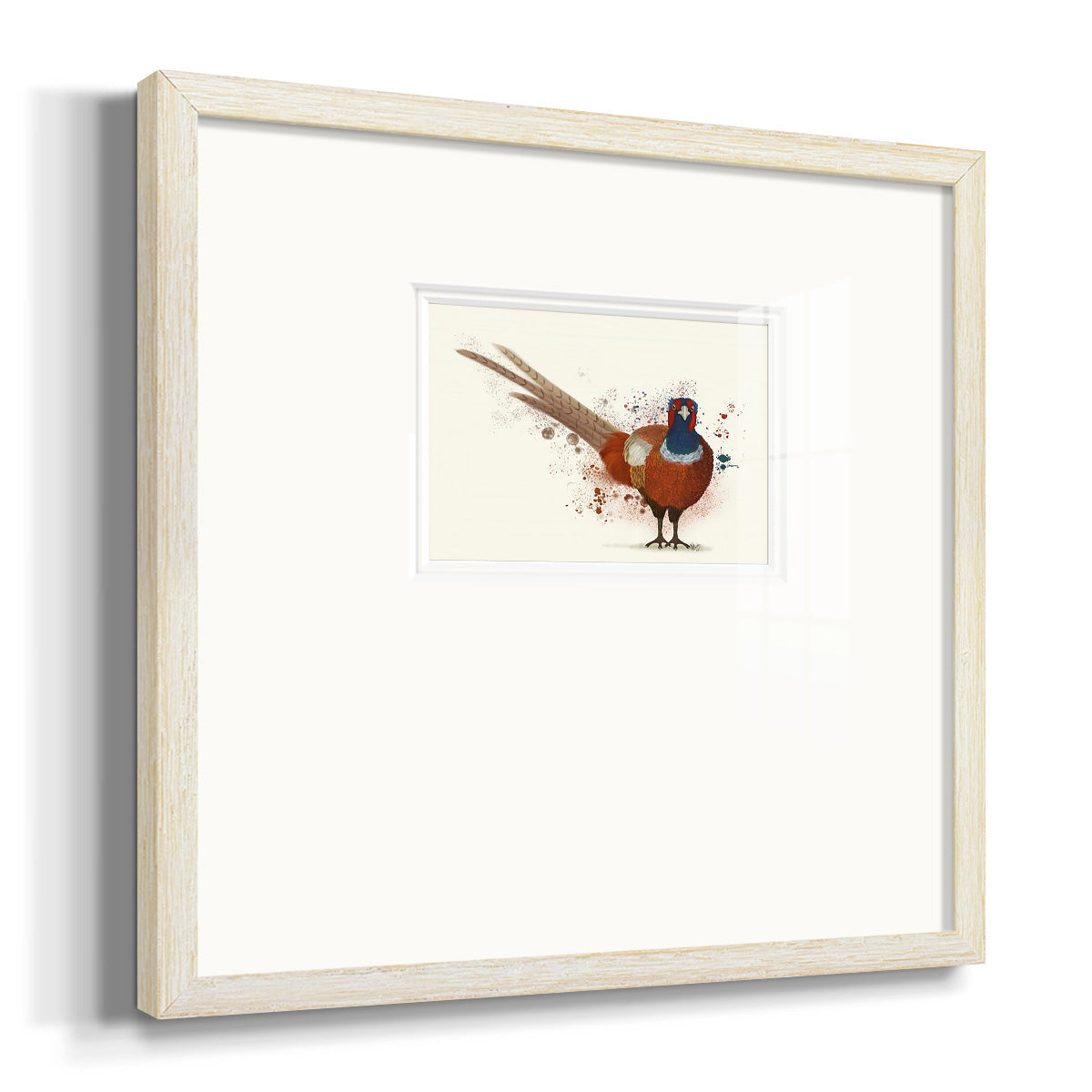 Pheasant Splash 7 Premium Framed Print Double Matboard