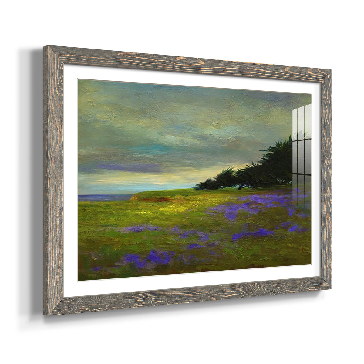 Coastal Views VI - Barnwood Framed Art Print
