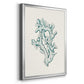 Antique Coastal Coral IV - Modern Framed Canvas Print