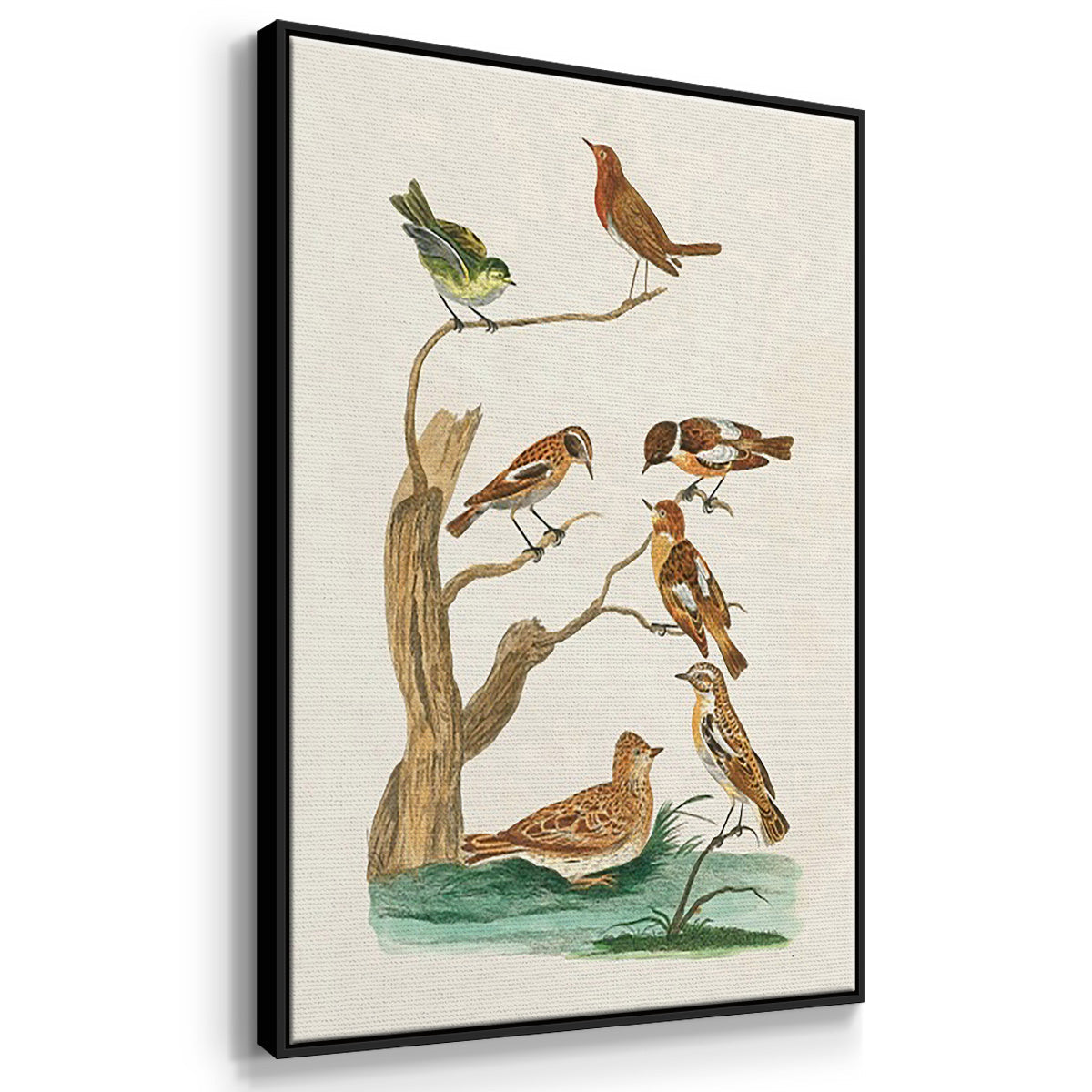 Antique Birds in Nature I - Framed Premium Gallery Wrapped Canvas L Frame 3 Piece Set - Ready to Hang