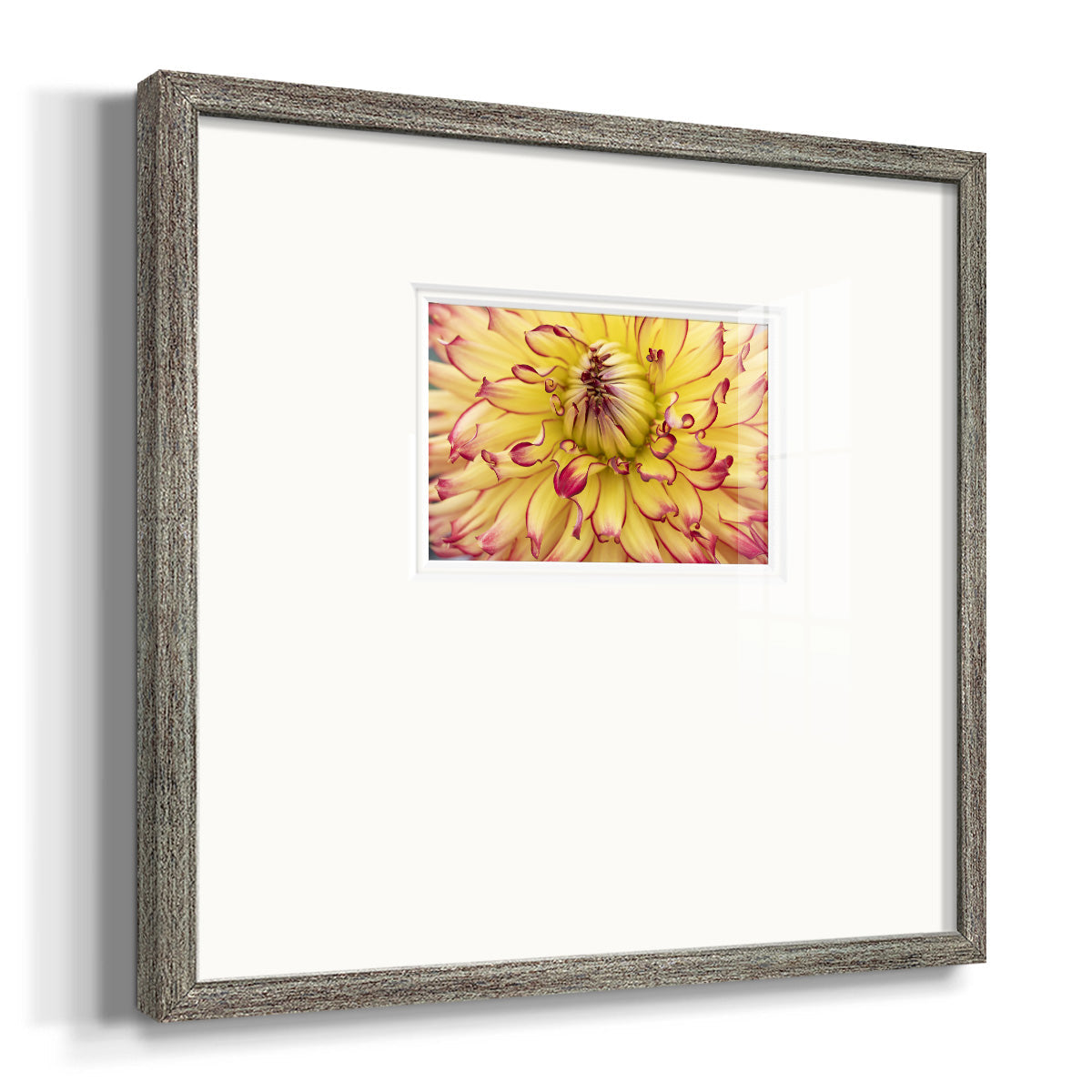 Blooms II Premium Framed Print Double Matboard