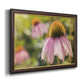 Echinacea Study I Premium Framed Canvas- Ready to Hang