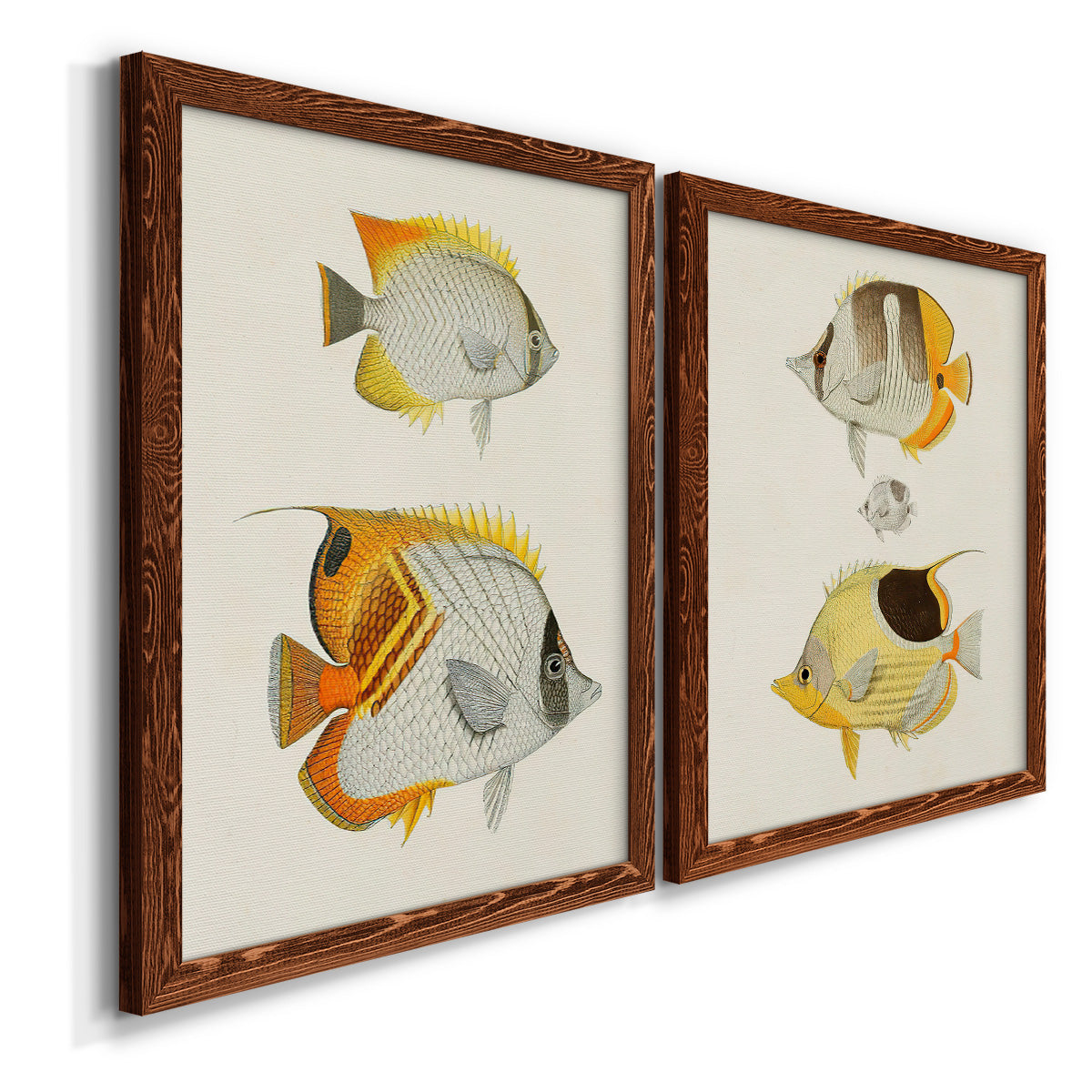 Yellow & Grey Fish I - Premium Framed Canvas 2 Piece Set - Ready to Hang