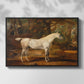 Grey Arabian Stallion, Property of Sir Watkin Williams-Wynn, c. 1817 - Floater Framed Canvas Print