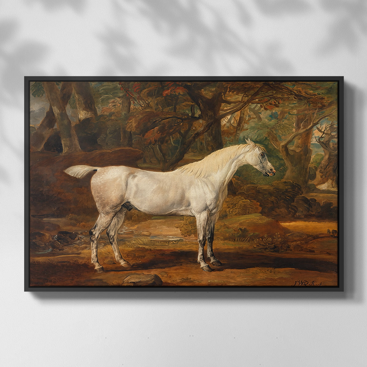 Grey Arabian Stallion, Property of Sir Watkin Williams-Wynn, c. 1817 - Floater Framed Canvas Print