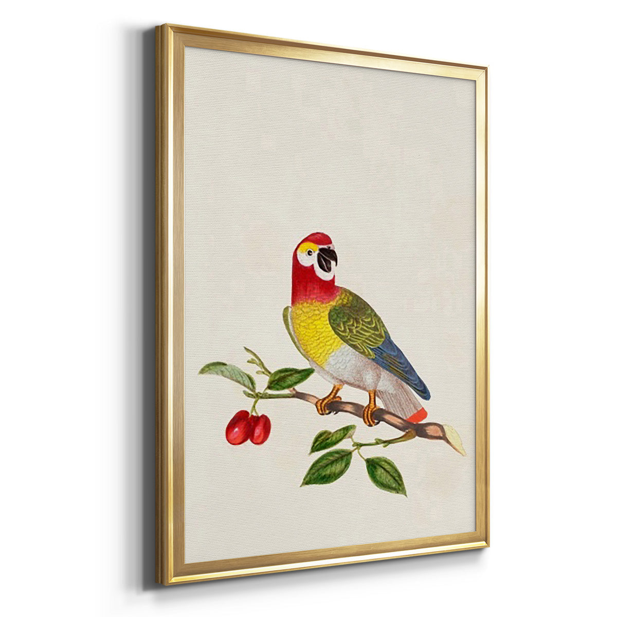 Bird in Habitat VI - Modern Framed Canvas Print