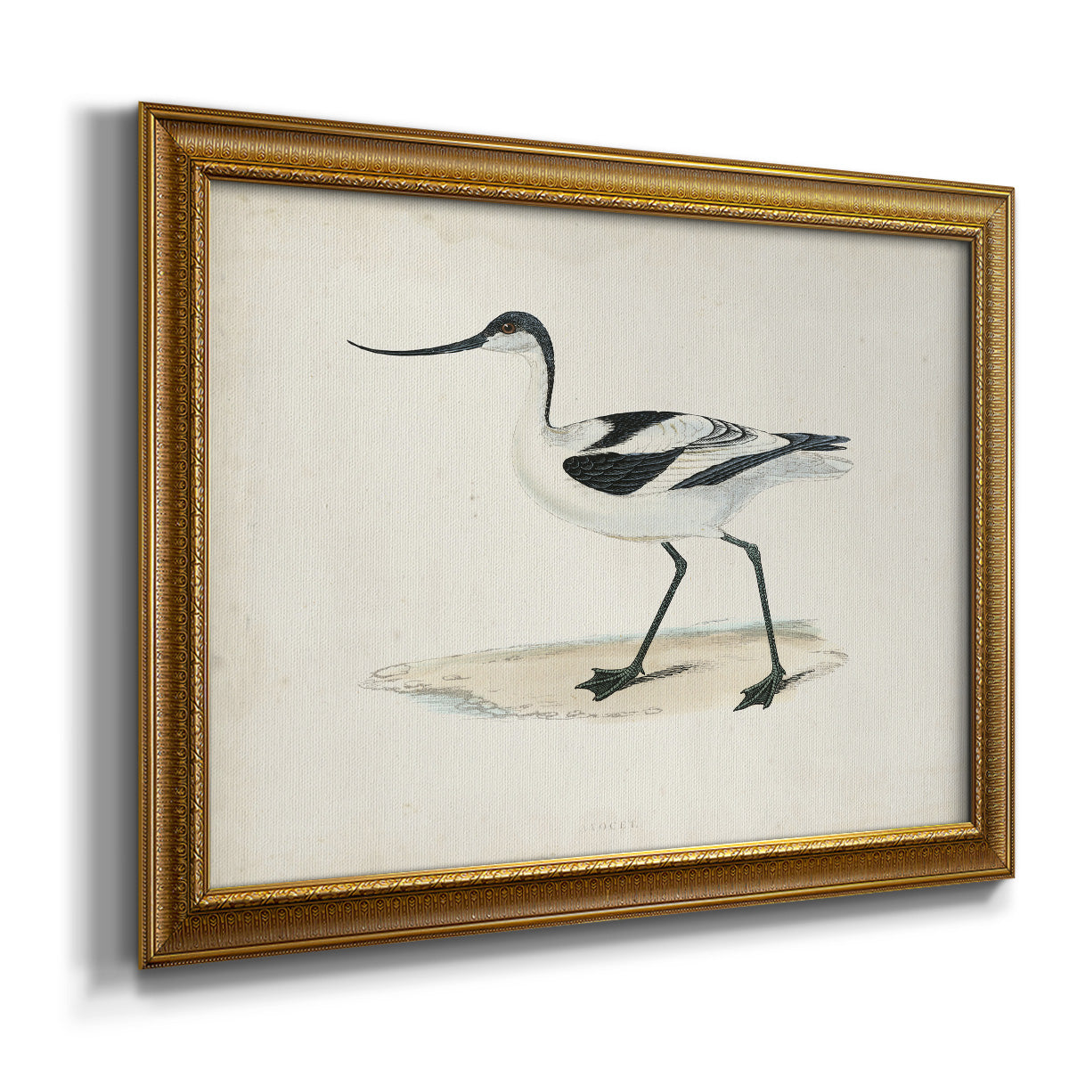 Morris Sandpipers IV Premium Framed Canvas- Ready to Hang