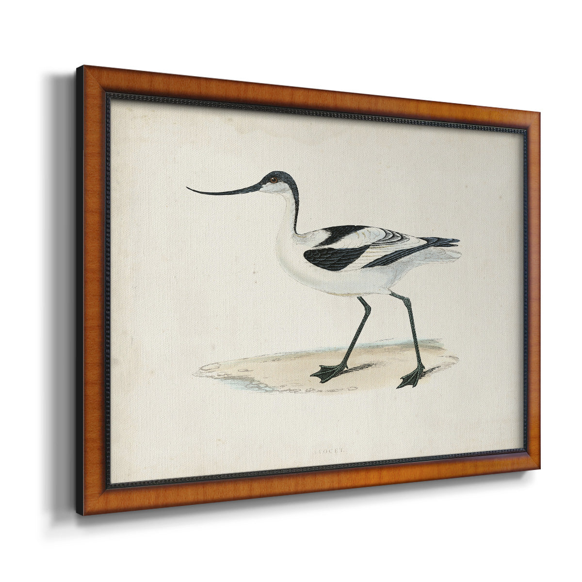 Morris Sandpipers IV Premium Framed Canvas- Ready to Hang