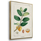 Turpin Tropical Botanicals IV - Framed Premium Gallery Wrapped Canvas L Frame 3 Piece Set - Ready to Hang