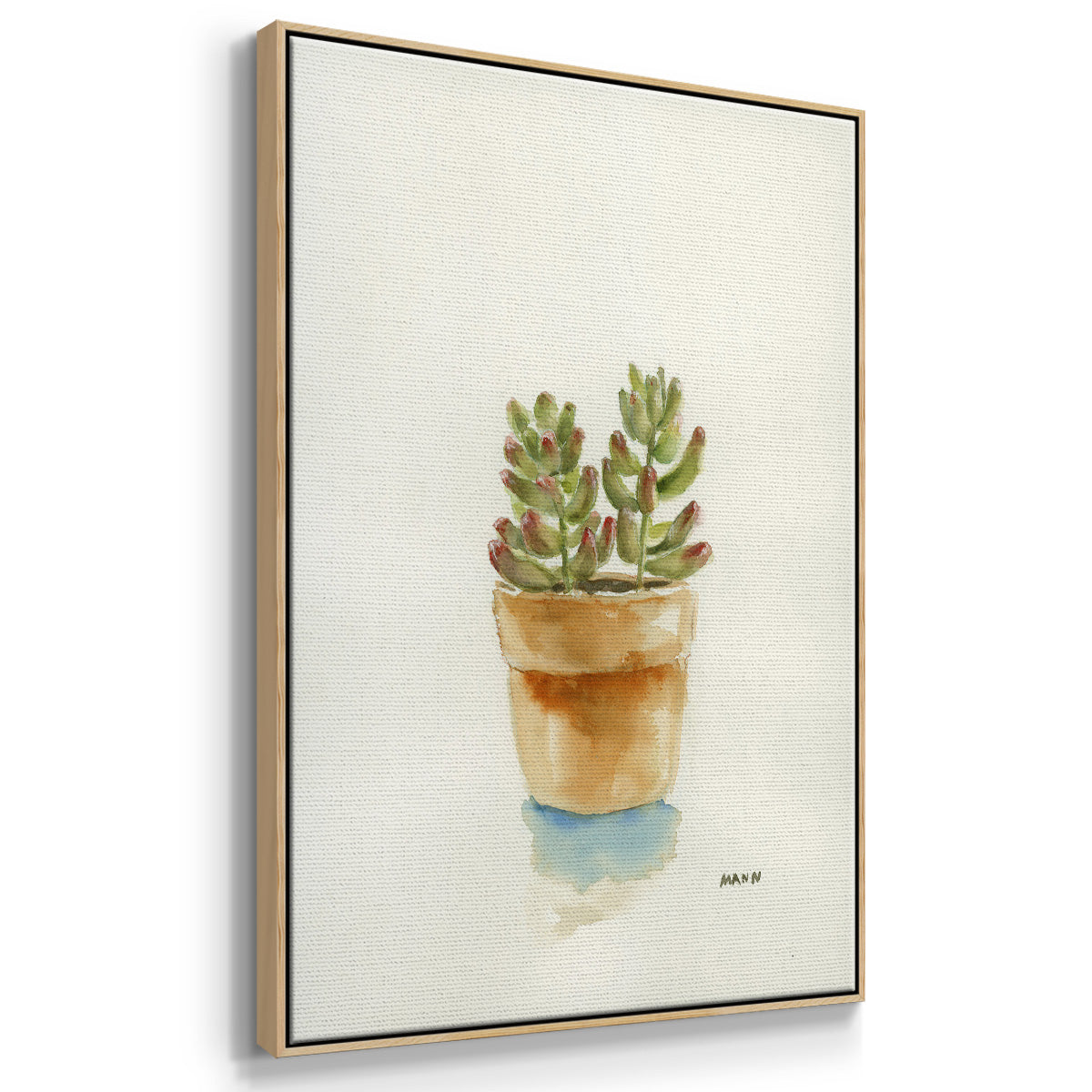 Succulent III - Framed Premium Gallery Wrapped Canvas L Frame - Ready to Hang