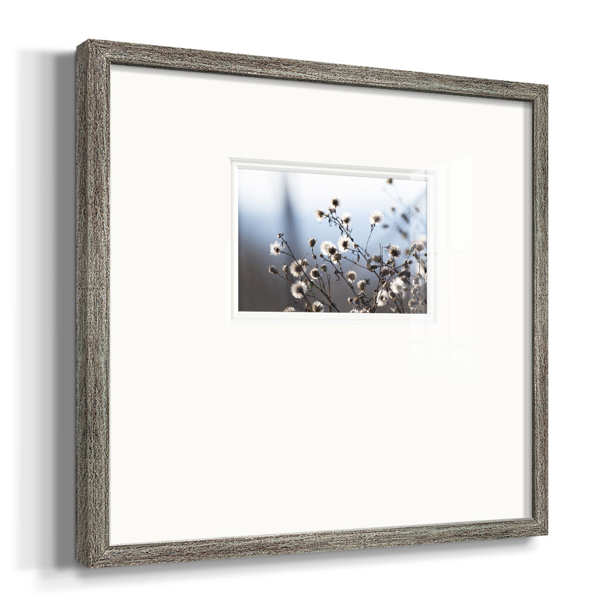 Spring Fluff - Double Matboard Framed Print