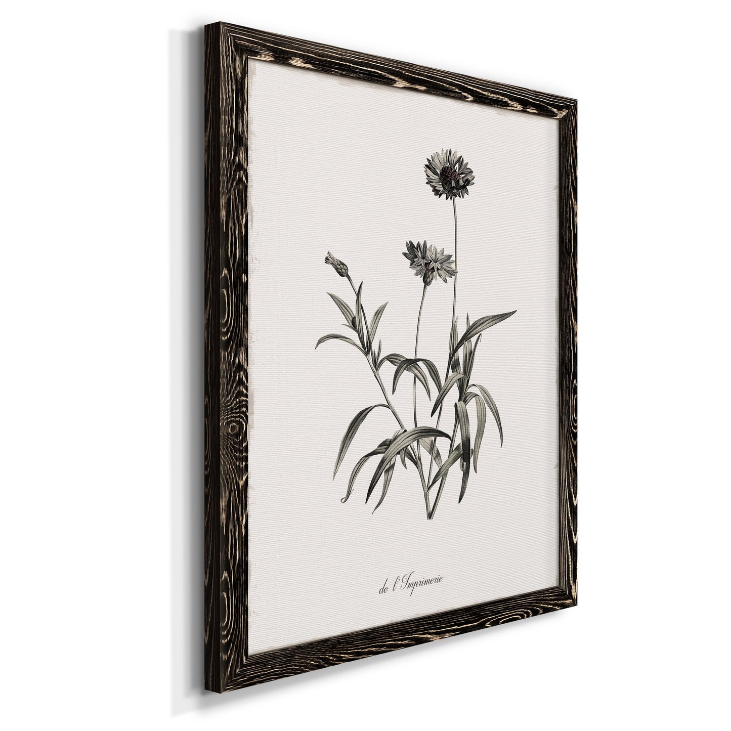 Sketchbook Imperial - Premium Canvas Framed in Barnwood - Ready to Hang