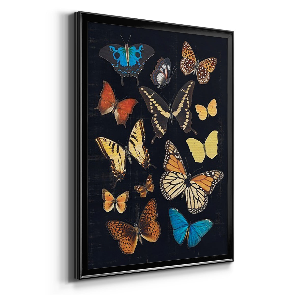 Collected Flutter IV - Modern Framed Canvas Print