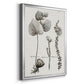 Black & White Protea on Linen II - Modern Framed Canvas Print