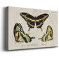 Crackled Butterflies I Premium Gallery Wrapped Canvas - Ready to Hang