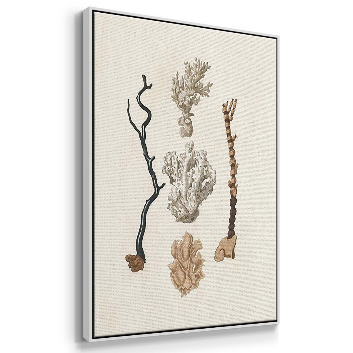 Knorr Shells & Coral IV - Framed Premium Gallery Wrapped Canvas L Frame 3 Piece Set - Ready to Hang