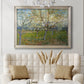 Orchard With Blossoming Apricot Trees - Ornate Framed Canvas Print