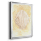Salty Seashell II - Modern Framed Canvas Print