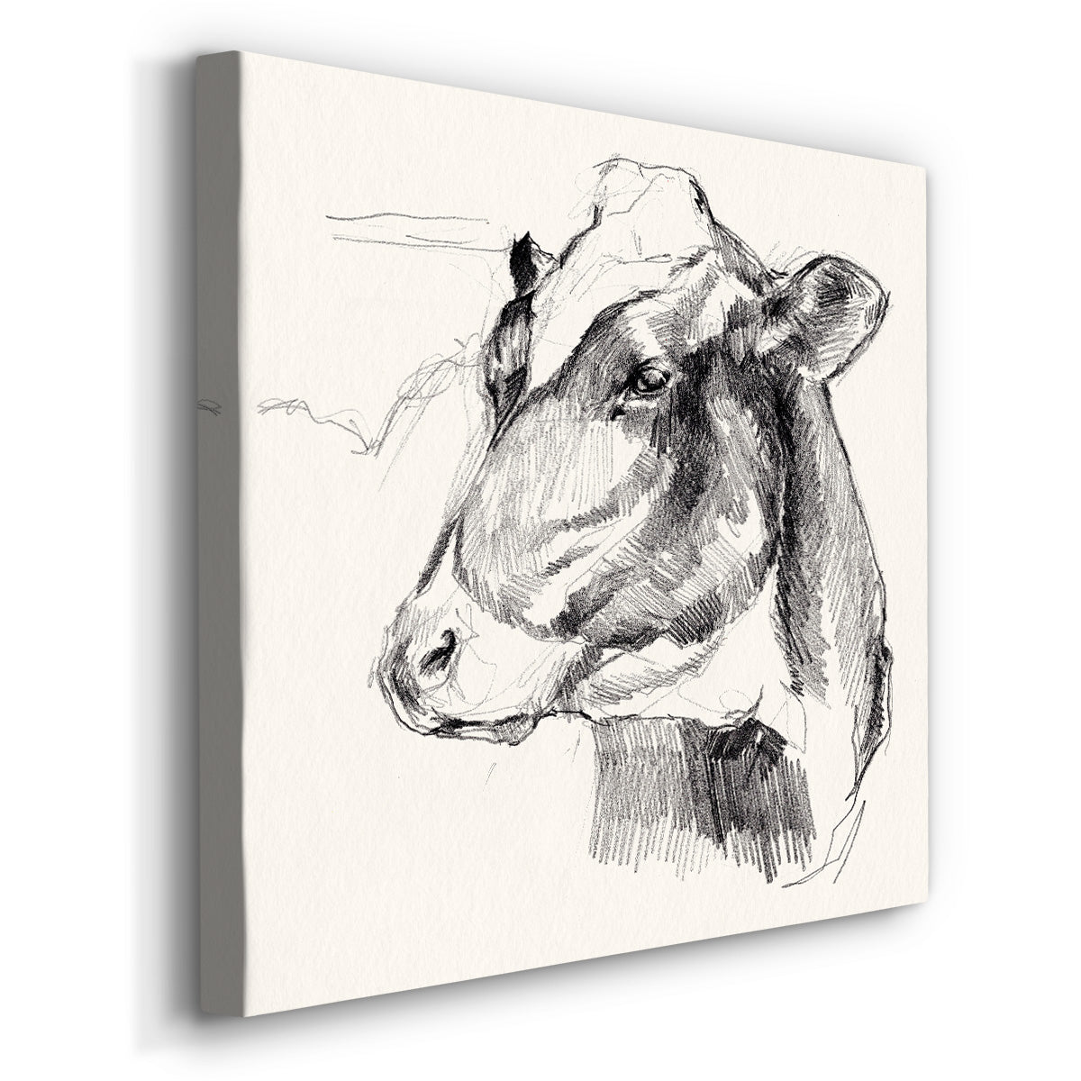 Holstein Portrait Sketch II - Canvas Art Print