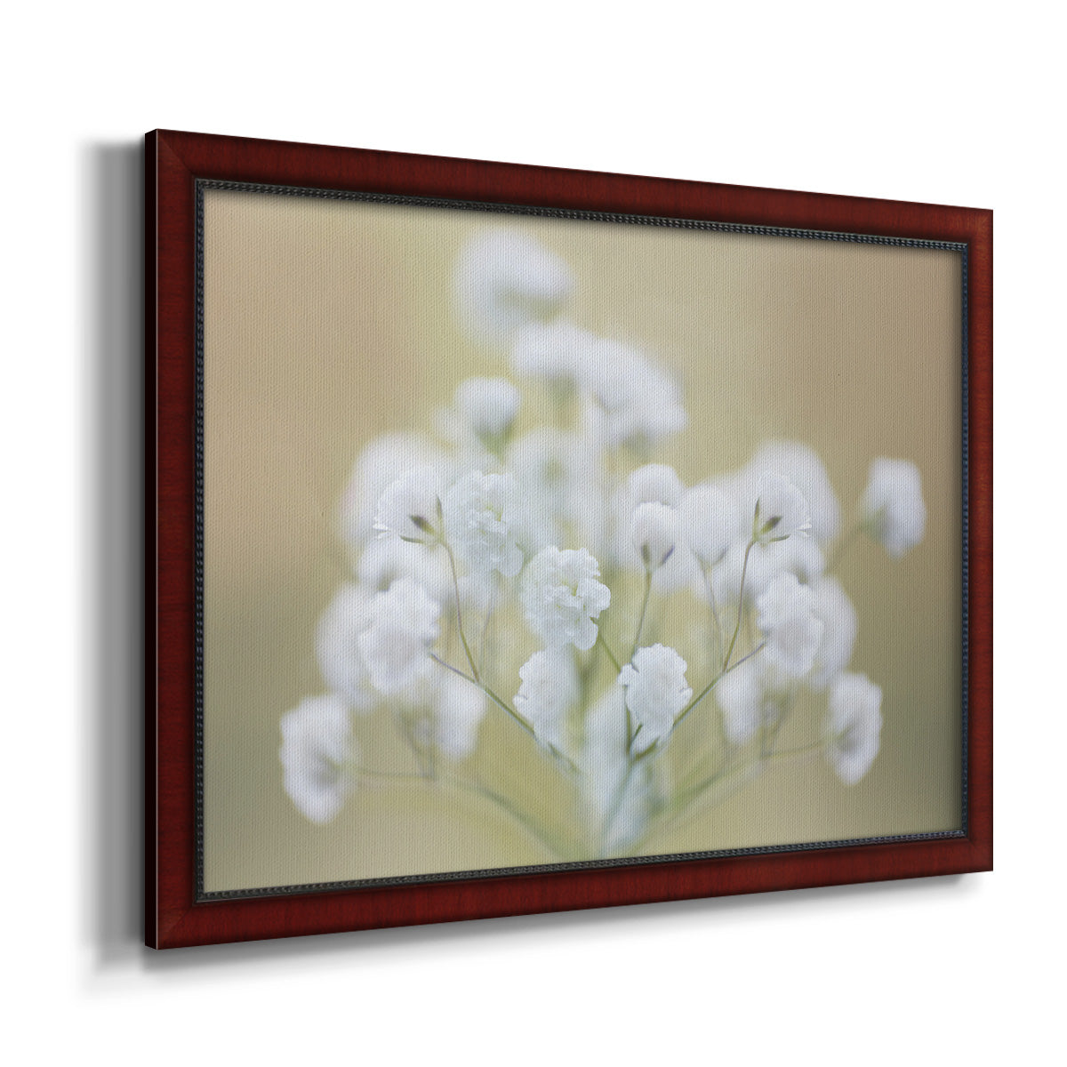 Baby's Breath Study I Premium Framed Canvas- Ready to Hang