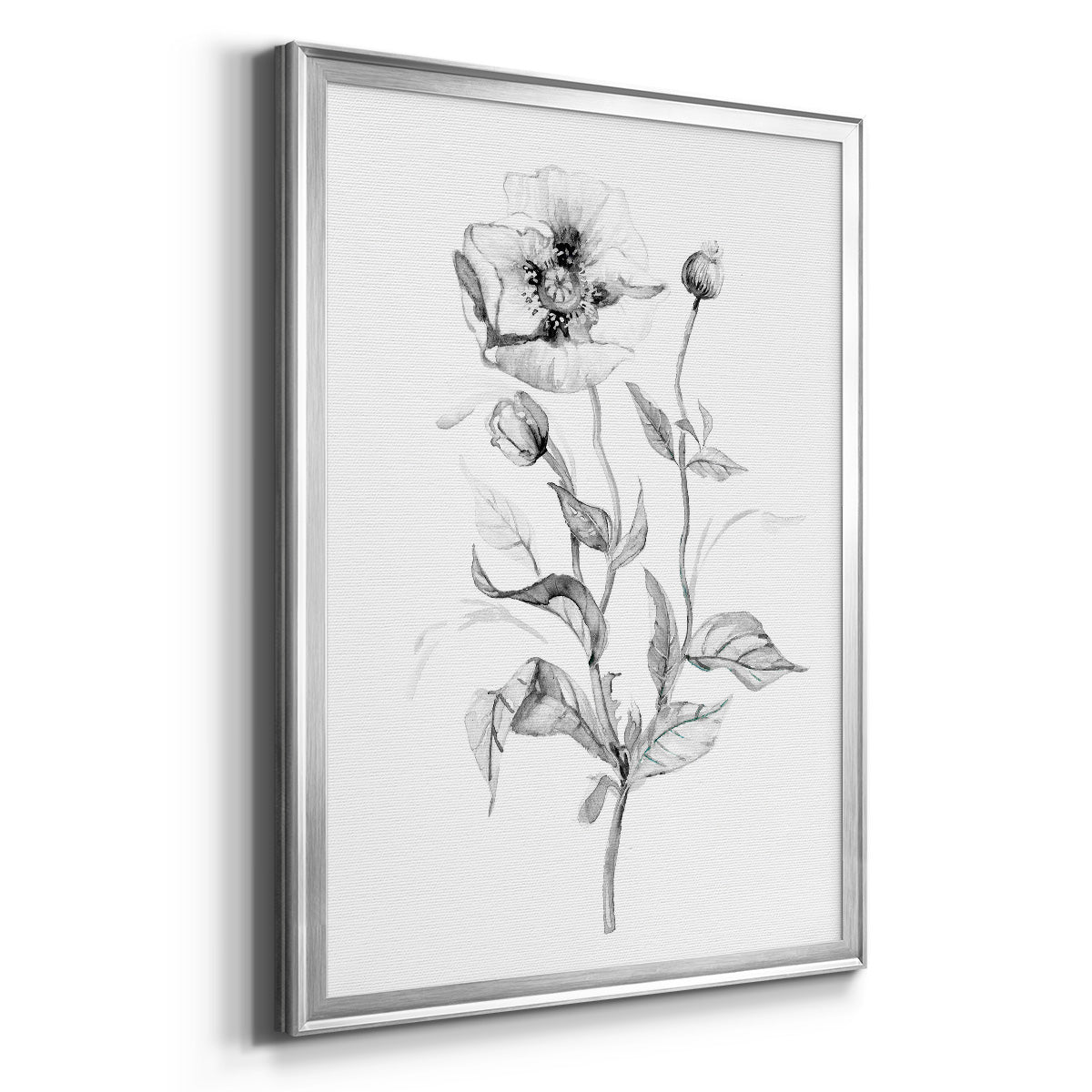 Wild Poppy Sketch - Modern Framed Canvas Print