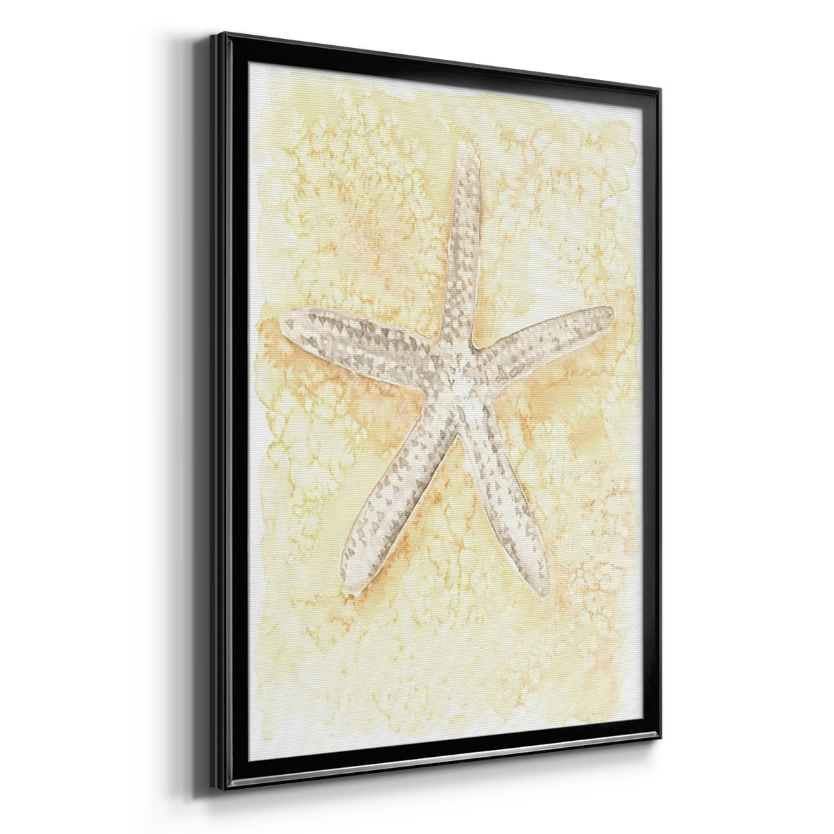Salty Seashell I - Modern Framed Canvas Print