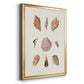 Knorr Shells & Coral VI - Modern Framed Canvas Print