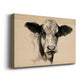 Charcoal Cow II - Canvas Art Print