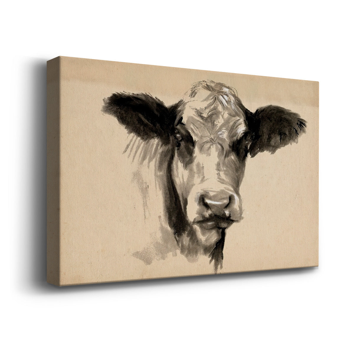 Charcoal Cow II - Canvas Art Print
