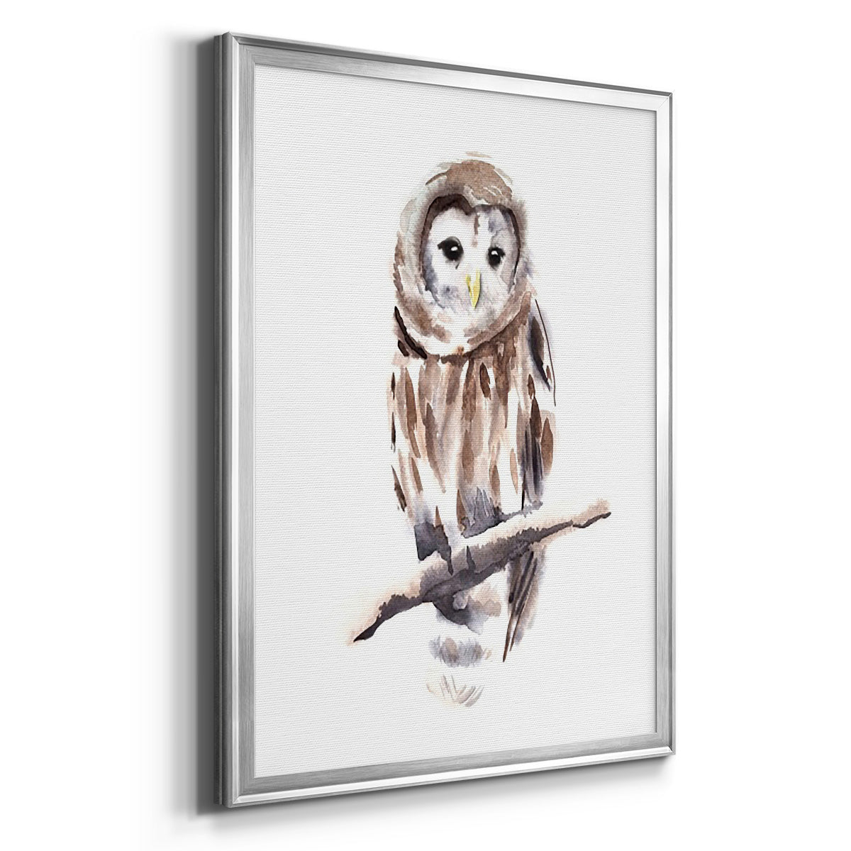 Barred Owl Impressions I - Modern Framed Canvas Print