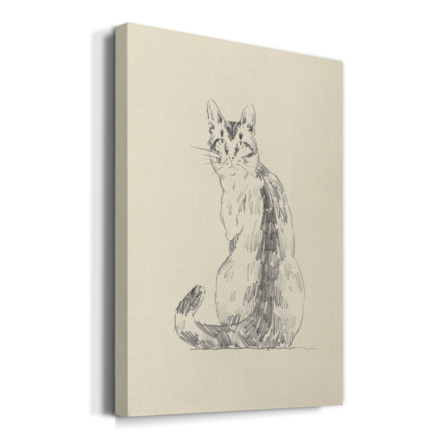 House Cat V Premium Gallery Wrapped Canvas - Ready to Hang