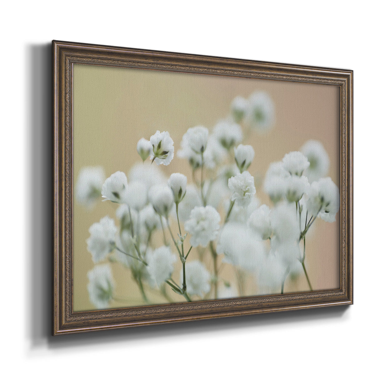 Baby's Breath Study II Premium Framed Canvas- Ready to Hang