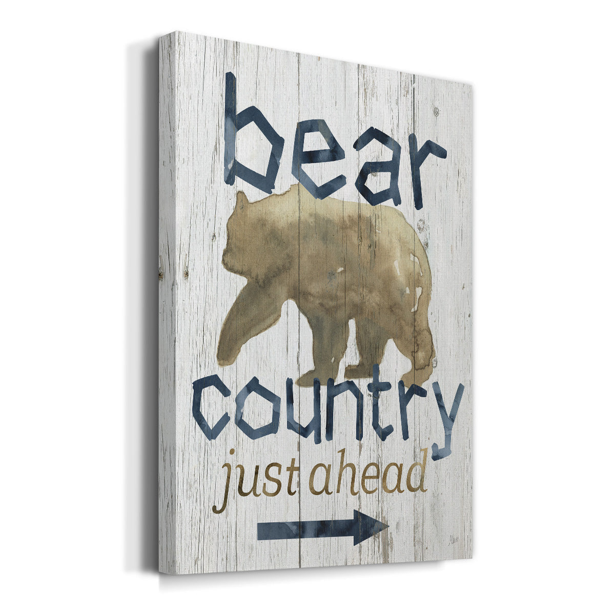 Bear Country Premium Gallery Wrapped Canvas - Ready to Hang