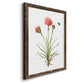 Wildflower Botanical III - Barnwood Framed Canvas Print