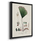 Botanical Society Ferns IX - Modern Framed Canvas Print