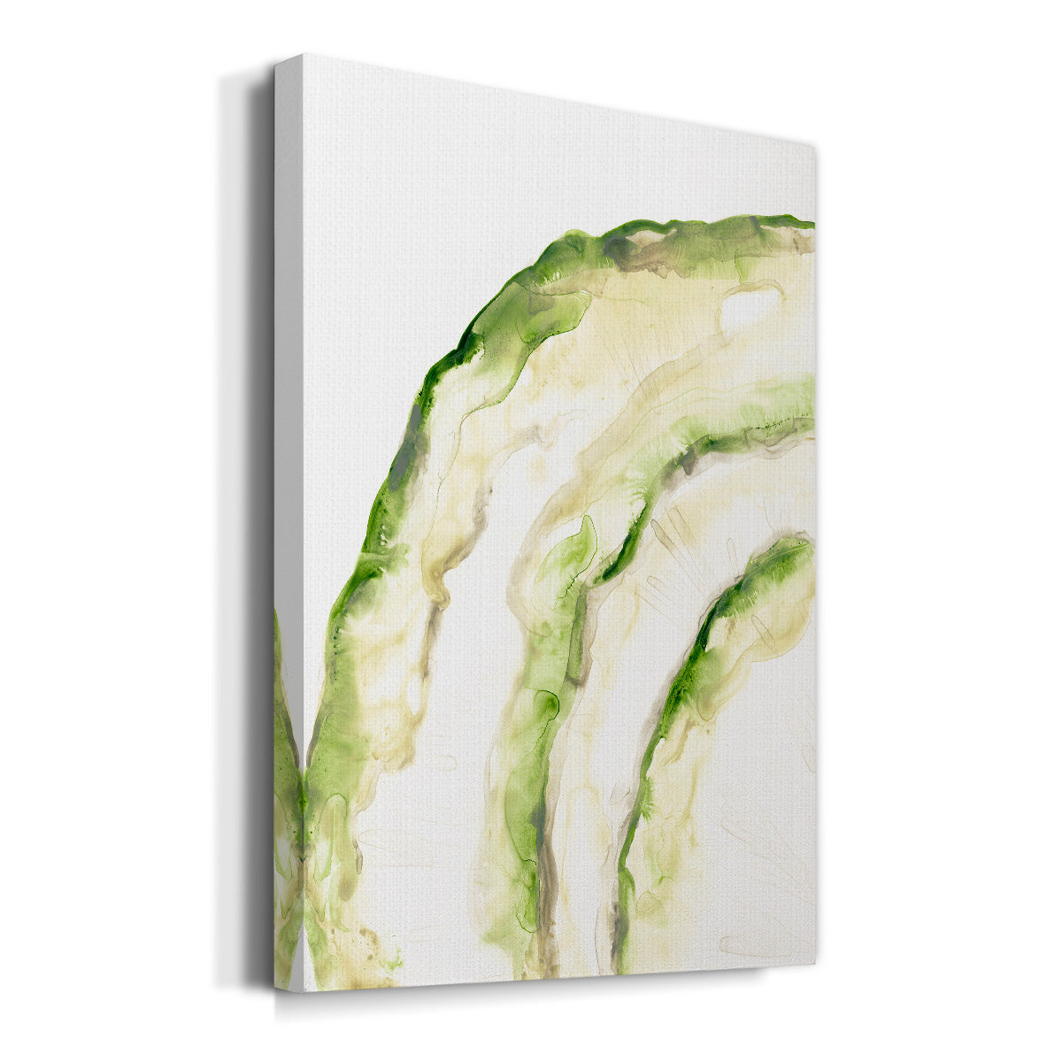 Lichen Halo I Premium Gallery Wrapped Canvas - Ready to Hang