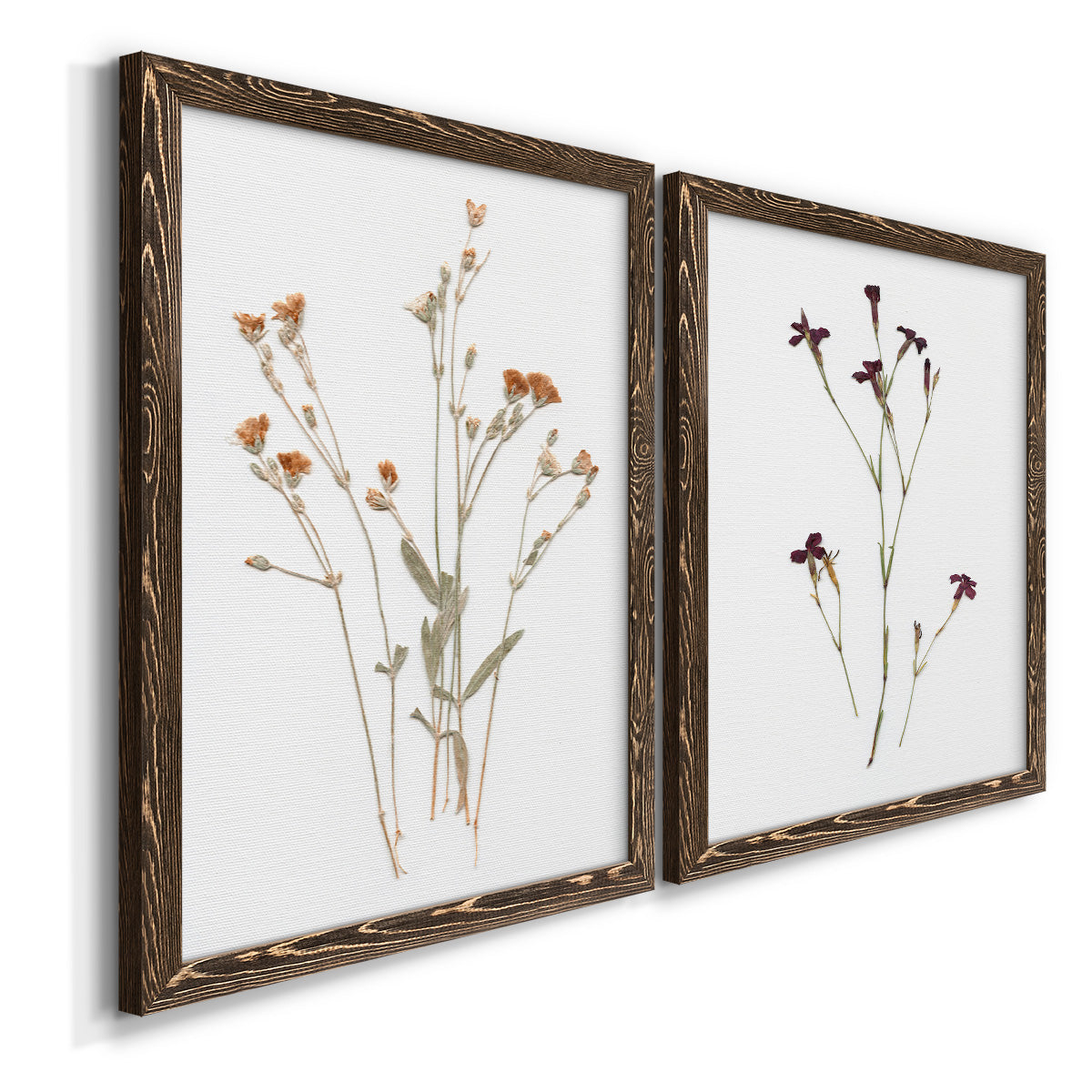 Pressed Botanical I - Premium Framed Canvas 2 Piece Set - Ready to Hang