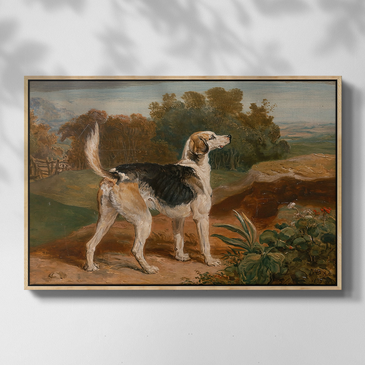 Ravager, One of the Lambton Hounds, 1835 - Floater Framed Canvas Print