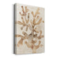 Parchment Coral I Premium Gallery Wrapped Canvas - Ready to Hang