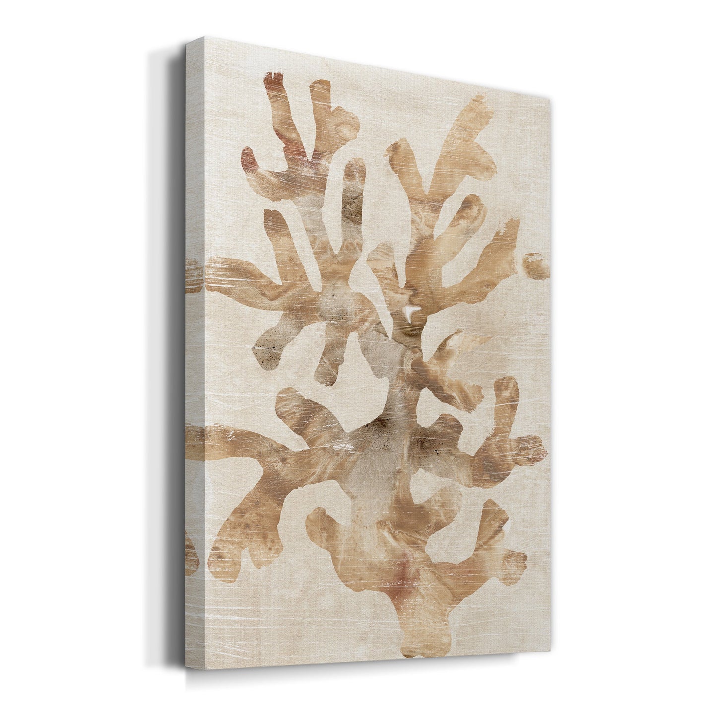 Parchment Coral I Premium Gallery Wrapped Canvas - Ready to Hang