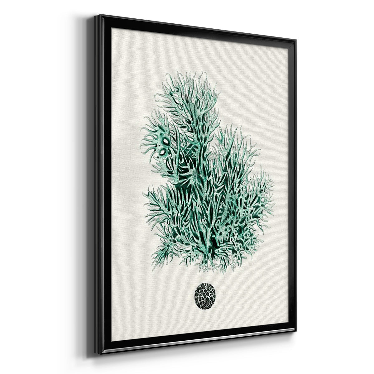 Antique Coastal Coral V - Modern Framed Canvas Print