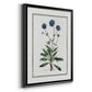 Soft Botanical II - Modern Framed Canvas Print