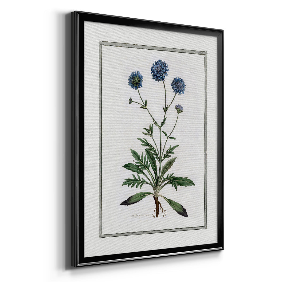 Soft Botanical II - Modern Framed Canvas Print