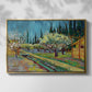 Orchard in Blossom, Bordered by Cypresses, 1888 - Floater Framed Canvas Print