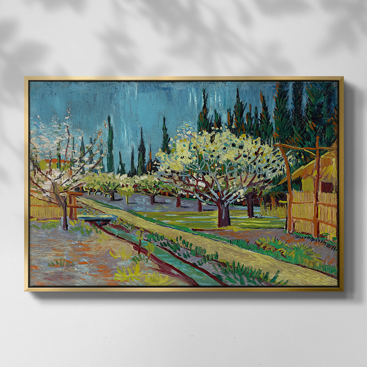 Orchard in Blossom, Bordered by Cypresses, 1888 - Floater Framed Canvas Print