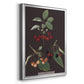 Brookshaw Cherries - Modern Framed Canvas Print