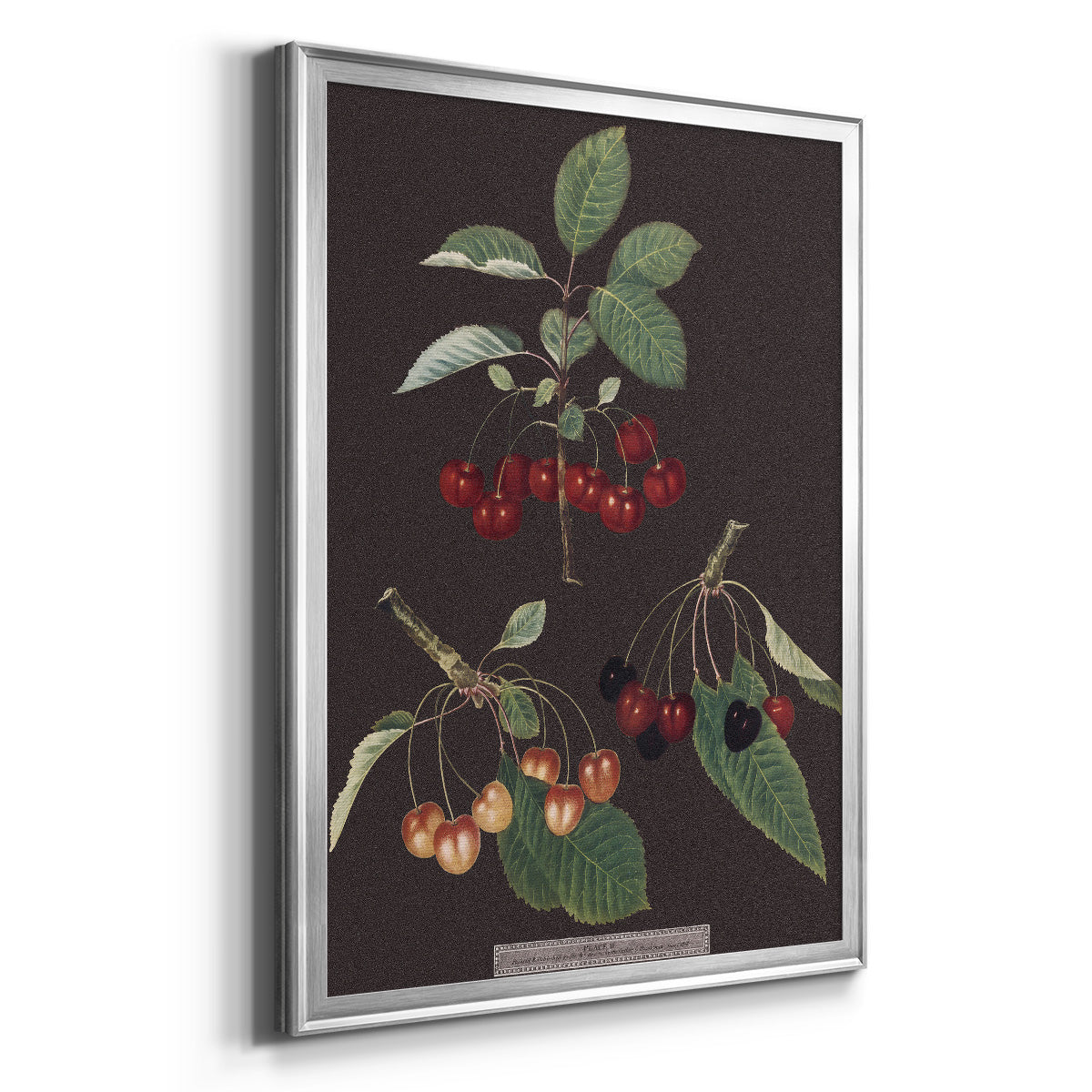 Brookshaw Cherries - Modern Framed Canvas Print