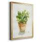 Succulent I - Modern Framed Canvas Print