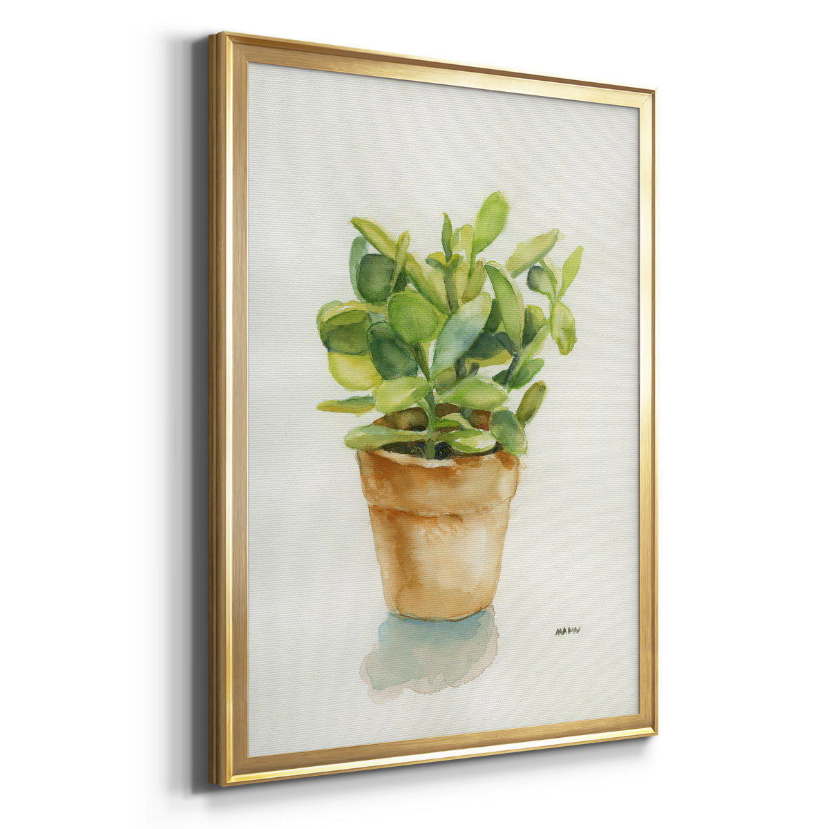 Succulent I - Modern Framed Canvas Print